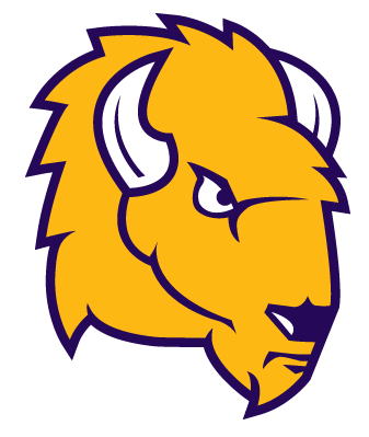 Lipscomb Bisons 2012-Pres Secondary Logo diy DTF decal sticker